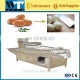 Automatic Boiled And Cooked Egg Peeling Machine For Sale thumbnail-6