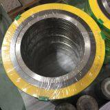 Spiral Wound Gasket thumbnail-1