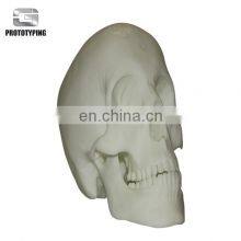 3d SLA SLS Artificial Skeleton Model Service thumbnail-2