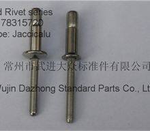 Dia. 3/16 - 1/4 stainless steel blind rivet for automotive and roof construction industry