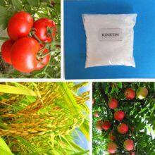 Hot Sale Agriculture Related Products 6-Furfurylaminopurine 99%TC Fertilizer Kinetin 6kt thumbnail-2