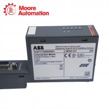 ABB CM592-DP 1SAP173200R0001 thumbnail-1