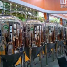 Automatic Turnkey Microbrewery Equipment Stainless Steel Or Copper Material thumbnail-1