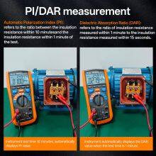 Vici VC4060PD 100V 250V 500V 100V 2500V 50GΩ Insulation Multimeter thumbnail-4
