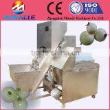 Fresh Onions Peeler/onion Peeling Machine Used in Field and Food Process Factory thumbnail-1