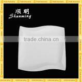 Hard Melamine Dinner Plates