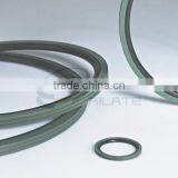PTFE Rotary Seals (BNS) thumbnail-1