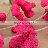 Wholesale Dyed in Rose Red Coral Natural Pendant Gemstone for Jewellery Making thumbnail-1