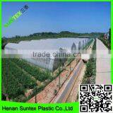 uv Protection Anti Fog Greenhouse Cover Film for Multi-span Vegetable Planting thumbnail-6