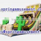 High Quality and Cheap Cactus Inflatable Slide, Inflatables SP-SL095