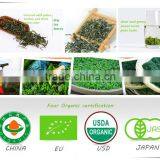 Organic Morning Green Tea Rich Vitamin Tea China Exporters thumbnail-1