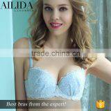 Ladies Women's Lace Sexy Push Up Large Bra Indian Sexy Bra Push Up Bra thumbnail-1
