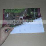 Custom Clear PP File Folder , A4 Size L Shape Folder