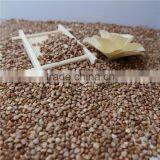 Roasted Buckwheat Kerner With Best Price thumbnail-1