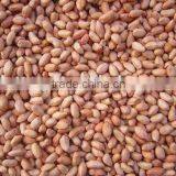 Chinese Light Peanut Kernel With Red Skin thumbnail-5