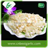 Edible White Fresh Enoki Mushrooms thumbnail-2