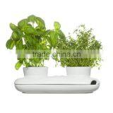 Stoneware Herb Pot,white thumbnail-1