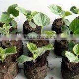 Hot Sale Seed Growing Nutritive Block Machine thumbnail-4