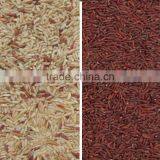 Red Rice Color Sorter thumbnail-3