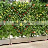 Double Sided Green Wall System for Office thumbnail-6