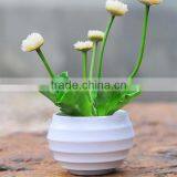 Colorized Plastic Large Size Plastic Flower Plant Pot thumbnail-2