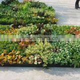 Home and Outdoor Decoration Synthetic Cheap Artificial Vertical Green Grass Wall E08 04R18 thumbnail-5