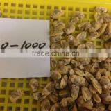 High Quality Hot Sales Frozen Short Necked Clam Meat thumbnail-4