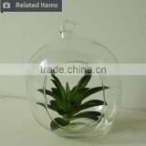 Hanging Glass Succulents Terrarium Mini Artificial Plants for Home Decoration thumbnail-6
