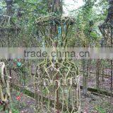 Lagerstroemia Indica 1.7m Trunk Height D5-6cm Flower Season thumbnail-3