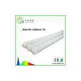 Retrofit Tube 19W 4 Feet LED Tube 120cm G13 Epistar Chips 5 Years Warranty