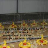 Malawi Poultry Farm Equipment Broiler Floor Raising System With 10,000 Birds & Chicken Plastic Saltted Floor System With Automatic Nipple Drinker in Chicken Shed