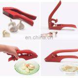 New Design Garlic Crushing Machine And Garlic Slice Function Crush 2 in 1 Garlic Press thumbnail-5