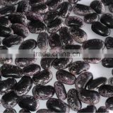 Large Black Speckled Kidney Beans, max. 50/100gr