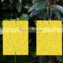 Dual-Sided Plant Protection Fungus Gnats, Aphids, Whiteflies, Leafminers Yellow Insect Sticky Trap