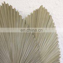 !00% Nature Cheap in Bulk Palm Leaf Fan Wall Art Traditional Woven Decoration Best Price Wholesale thumbnail-4