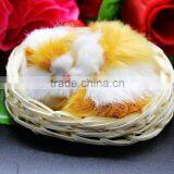 Cute Small Sleeping Plush Toy Cat With Long Fur thumbnail-5