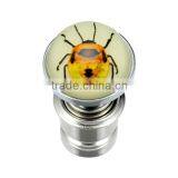 Insect Atuo Perfum Resin Clip Car Perfum (Night Lights)