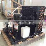 Outside Refrigeration Equipment for Refrigeration Cold Room