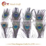 Factory Wholesale blue peacock feather for sale cheap
