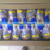 Layer Hens thumbnail-1