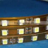 30pcs/meterXSMD5050 LED Flexible Strip-cool White