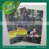 Snow White File Folder