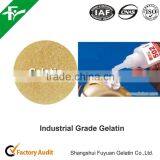 Buy Industrial Technical Gelatin thumbnail-3