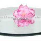 Glass Mirror Plates thumbnail-1