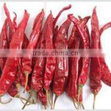 First-degree Dried Red Whole Erjintiao Chili from China