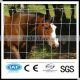 Express CE&ISO9001 Metal Cattle Fence(pro Manufacturer) thumbnail-1