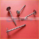 Top Quality Common Wire Nails / Roofing Nails / Galvanized Concrete Nails Trusted Chuanghe Suppliers From Com thumbnail-4