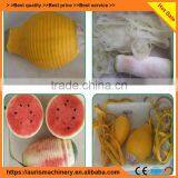 Wax Guard/grapefruit/Pawpaw/jackfruit Peeler Peeling Machine thumbnail-6