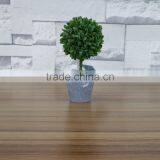 Table Decorative Mini Potted Boxwood Leaves Bonsai thumbnail-1