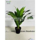 SAS201604 Cheap Artificial Green Plant Bonsai,Indoor Decor Green Plants thumbnail-5